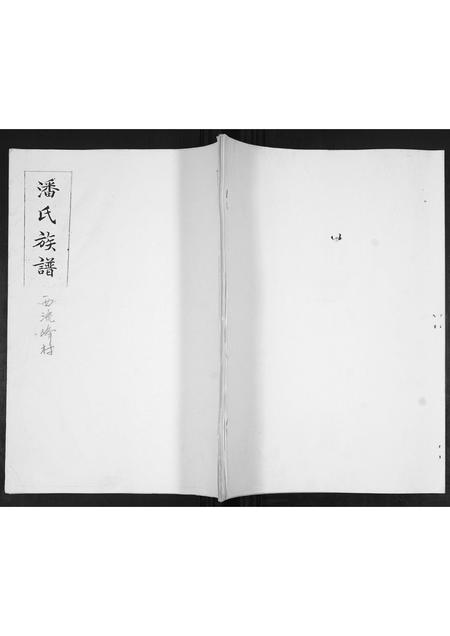 山东潘氏-潘氏族谱[不分卷].pdf电子版缩略图