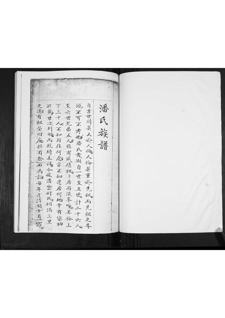 山东潘氏-潘氏族谱[不分卷].pdf电子版预览图1