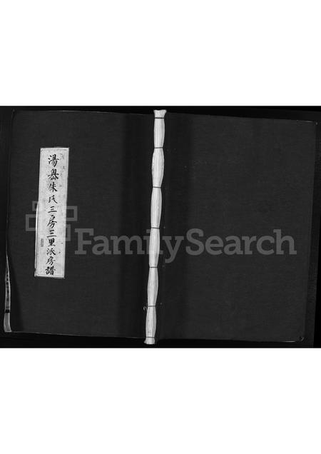 4897.汤岙朱氏三房三里派房谱 [不分卷](别名：Tang Ao Zhu Shi San Fang San Li Pai Fang Pu、汤岙朱氏宗谱、汤岙朱氏三房三里派房谱).pdf电子版缩略图