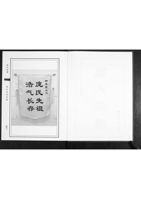 山东庞氏-庞氏族谱.pdf电子版预览图2
