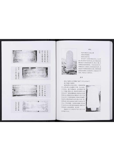 山西庞氏-庞氏家谱[不分卷].pdf电子版预览图1
