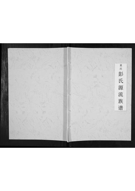 四川彭氏-重庆彭氏源流族谱.pdf电子版缩略图