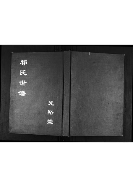 山东祁氏-祁氏世谱.pdf电子版缩略图