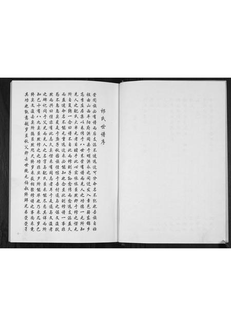 山东祁氏-祁氏世谱.pdf电子版预览图2