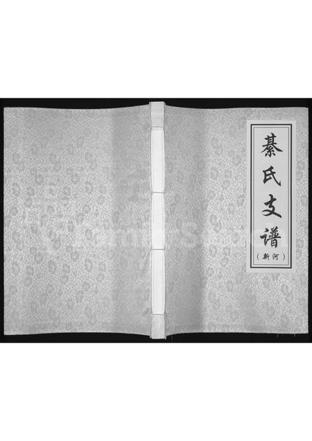 山东綦氏-綦氏支谱(别名：綦氏支谱(新河)).pdf电子版缩略图