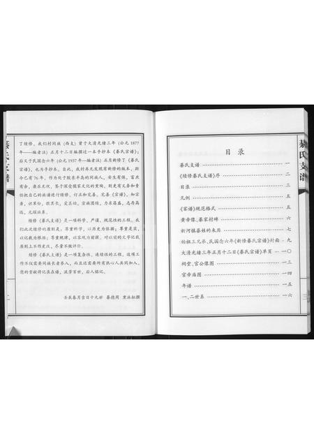 山东綦氏-綦氏支谱(别名：綦氏支谱(新河)).pdf电子版预览图3