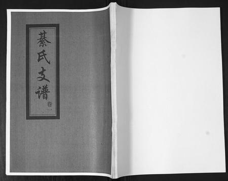 山东綦氏-綦氏支谱[3卷].pdf电子版缩略图