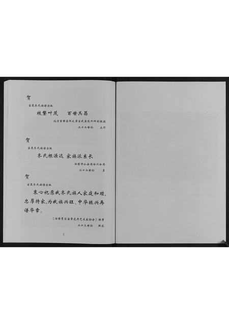 山东齐氏-齐氏族谱.pdf电子版预览图2