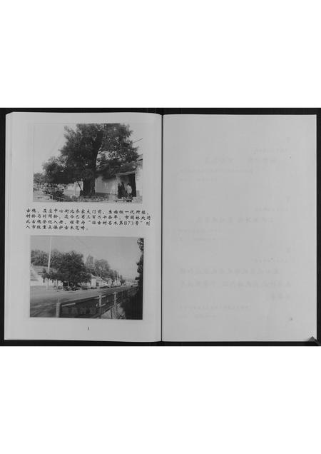 山东齐氏-齐氏族谱.pdf电子版预览图3