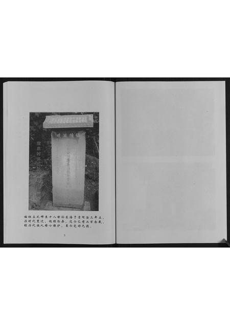 山东齐氏-齐氏族谱.pdf电子版预览图5