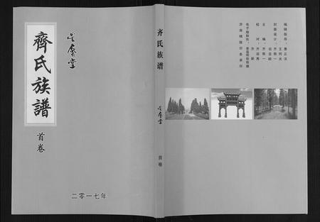 山东齐氏-齐氏族谱.pdf电子版缩略图