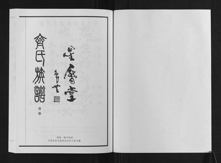 山东齐氏-齐氏族谱.pdf电子版预览图1