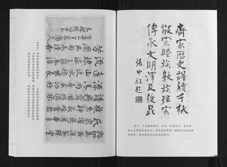 山东齐氏-齐氏族谱.pdf电子版预览图3