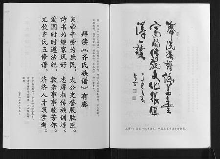 山东齐氏-齐氏族谱.pdf电子版预览图4