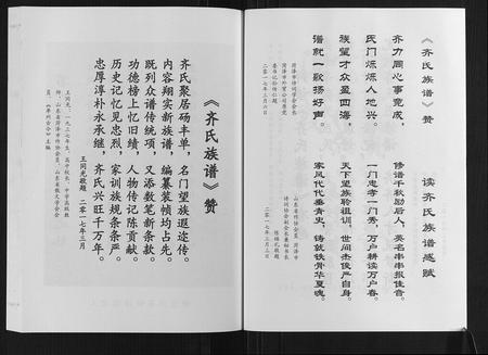 山东齐氏-齐氏族谱.pdf电子版预览图5