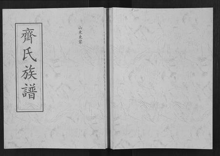 山东齐氏-齐氏族谱[不分卷].pdf电子版缩略图