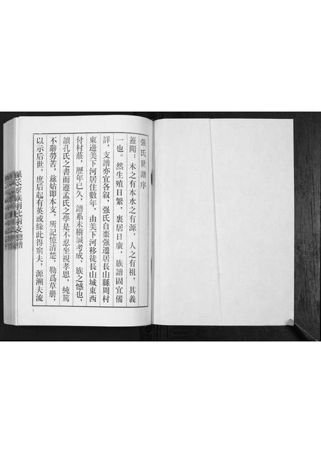 山东强氏-强氏家谱南北两支总谱.pdf电子版预览图1