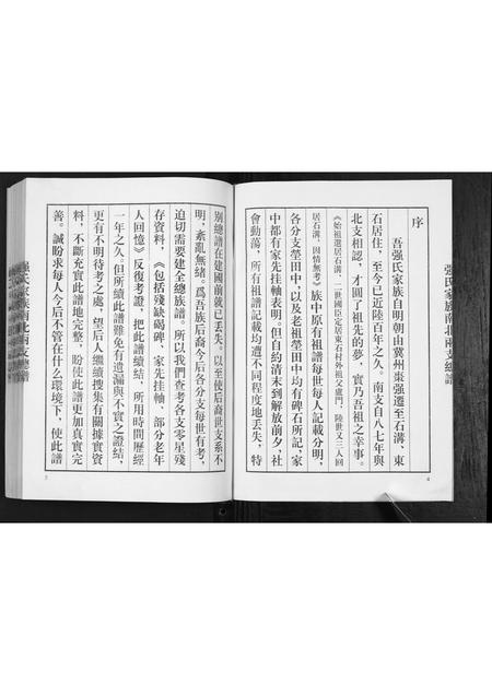 山东强氏-强氏家谱南北两支总谱.pdf电子版预览图3
