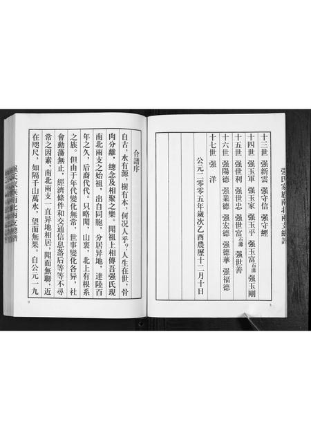 山东强氏-强氏家谱南北两支总谱.pdf电子版预览图5