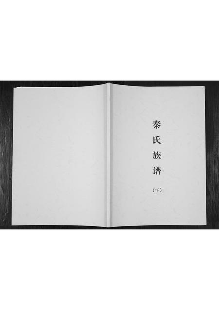 四川秦氏-秦氏族谱.pdf电子版缩略图