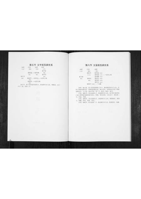 四川秦氏-秦氏族谱.pdf电子版预览图2