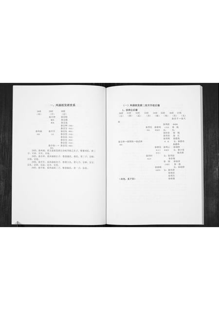 四川秦氏-秦氏族谱.pdf电子版预览图3