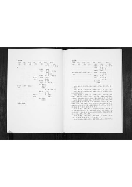 四川秦氏-秦氏族谱.pdf电子版预览图4