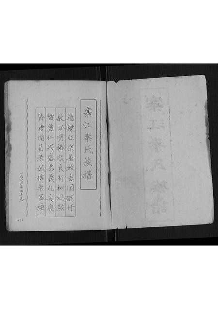 广西秦氏-寨江秦氏族谱[不分卷].pdf电子版预览图1