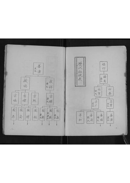广西秦氏-寨江秦氏族谱[不分卷].pdf电子版预览图4