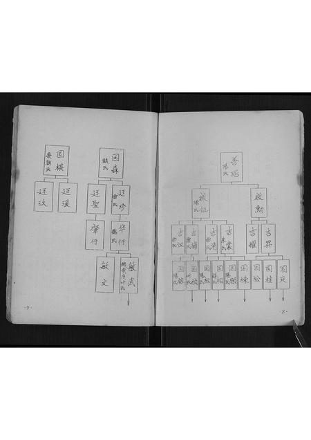 广西秦氏-寨江秦氏族谱[不分卷].pdf电子版预览图5