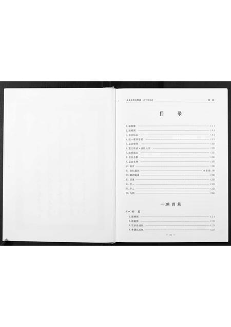 海南丘氏邱氏-中华丘氏大宗谱.海南万宁分谱.pdf电子版预览图4