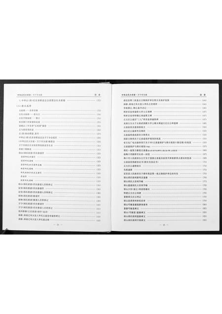 海南丘氏邱氏-中华丘氏大宗谱.海南万宁分谱.pdf电子版预览图5