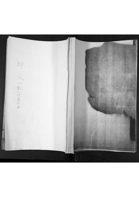 山东邱氏-邱氏族谱.pdf电子版缩略图