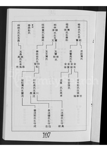 山西曲氏-河边村曲氏家谱 [上下册].pdf电子版预览图5