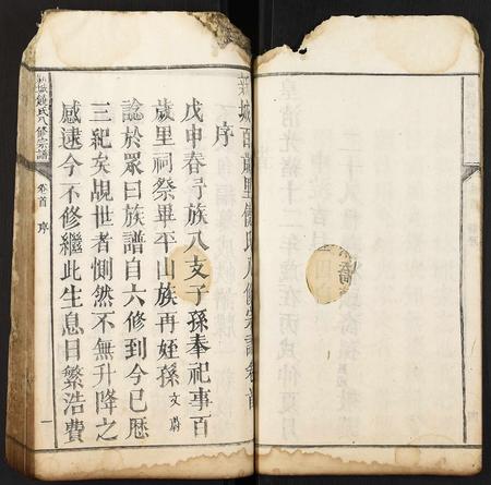 河北饶氏-新城饶氏八修宗谱.pdf电子版预览图4