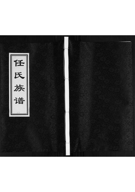 山东任氏-任氏族谱.pdf电子版缩略图