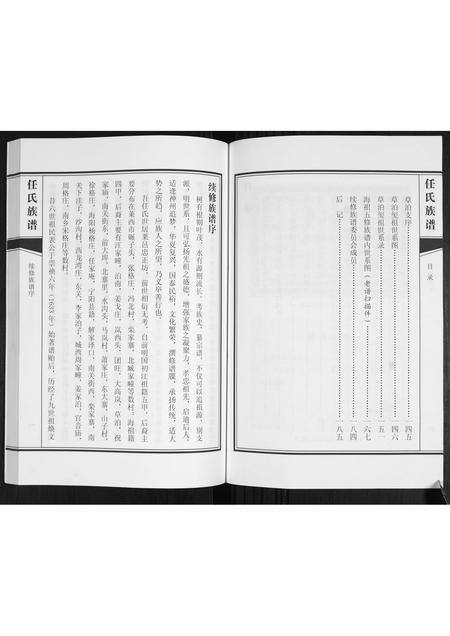 山东任氏-任氏族谱.pdf电子版预览图5