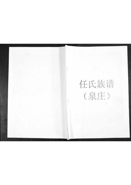 山东任氏-任氏族谱.pdf电子版缩略图