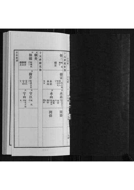 山东任氏-任氏族谱.pdf电子版预览图1