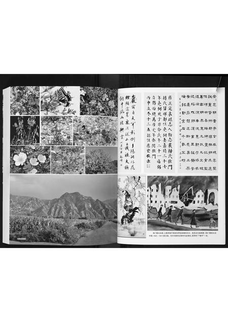 山西任氏-山西省定襄留晖任氏宗谱.pdf电子版预览图4