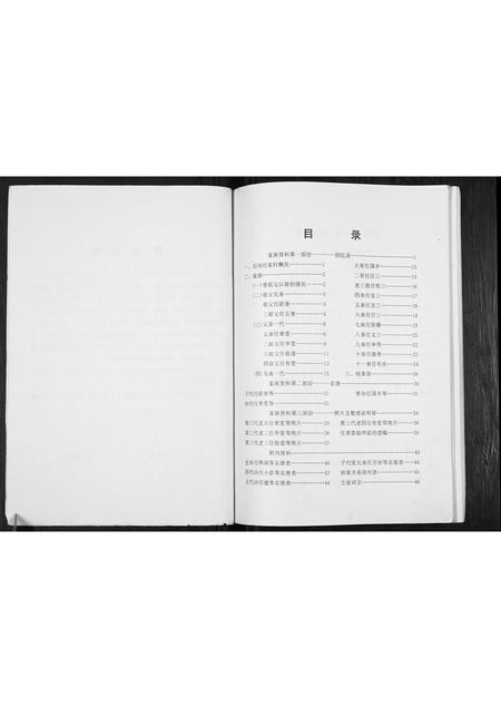 甘肃任氏-任氏族谱[不分卷].pdf电子版预览图3