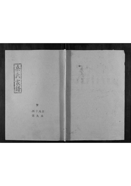 山东桑氏-桑氏家谱.pdf电子版缩略图