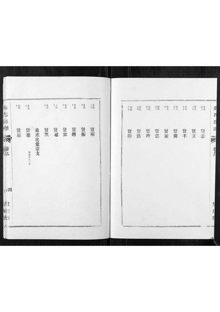 山东桑氏-桑氏家谱.pdf电子版预览图4