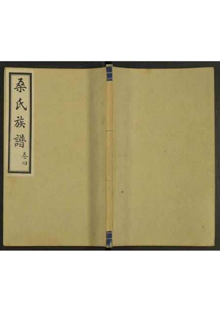 山东桑氏-桑氏族谱 [4卷].pdf电子版缩略图