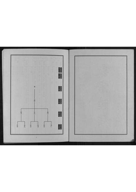 山东邵氏-中华邵氏统谱山东济宁分卷.pdf电子版预览图2