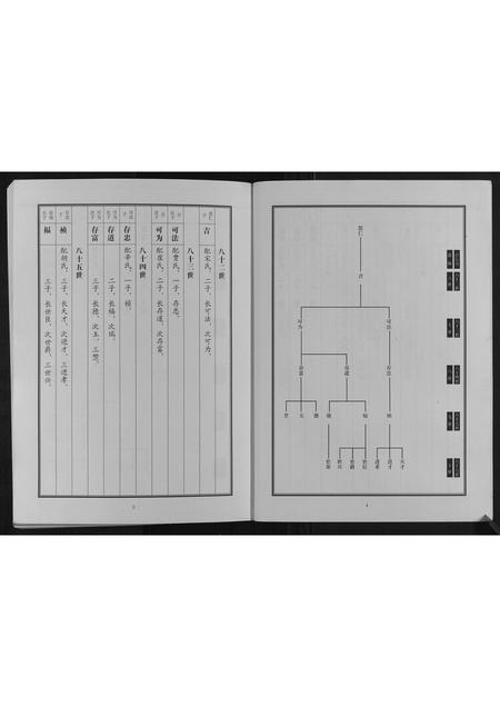 山东邵氏-中华邵氏统谱山东济宁分卷.pdf电子版预览图4