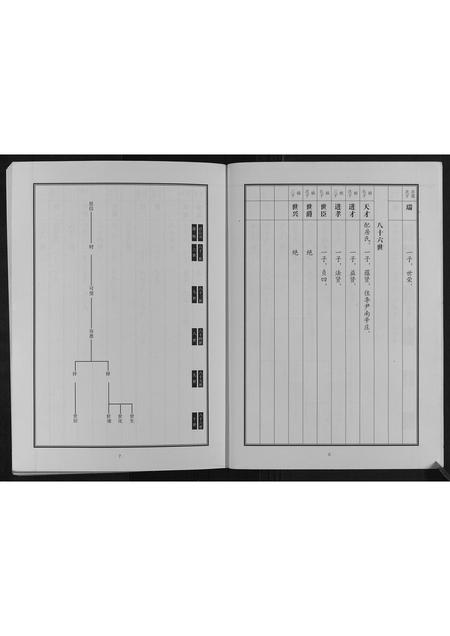 山东邵氏-中华邵氏统谱山东济宁分卷.pdf电子版预览图5