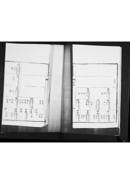 山东邵氏-邵氏族谱[2卷].pdf电子版预览图4