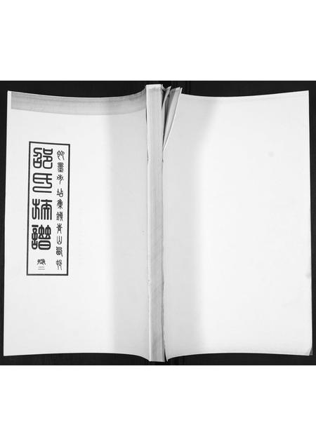 山东邵氏-邵氏族谱[2卷].pdf电子版缩略图