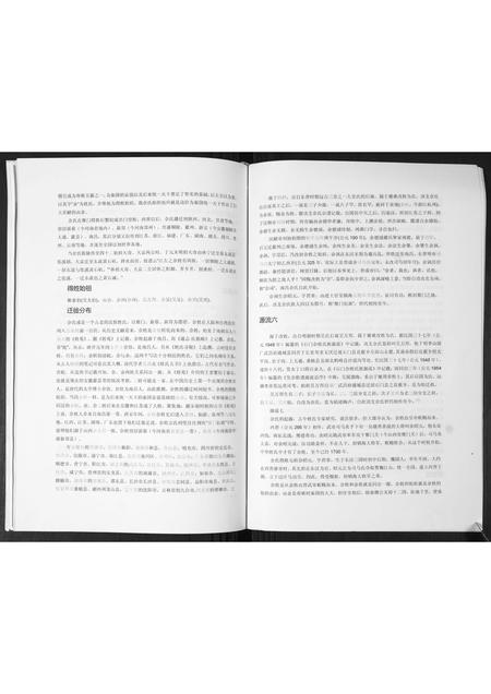 山东佘氏-佘氏族谱.舞旗埠村.pdf电子版预览图3